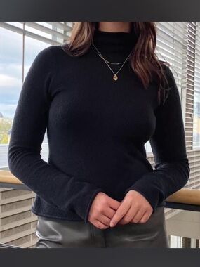 Aritzia Wilfred darling high neck sweater